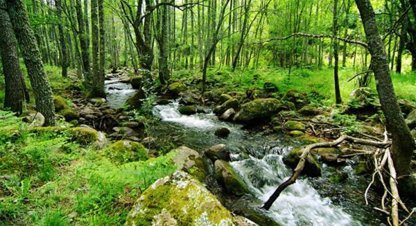 Ruralrut En El Tiemblo Precios Especiales A Partir De 7 Noches, Wifi, Cabina De Hidromasaje, Aire Acondicionado, Zonas De Bano Naturales Cercanas Extérieur photo
