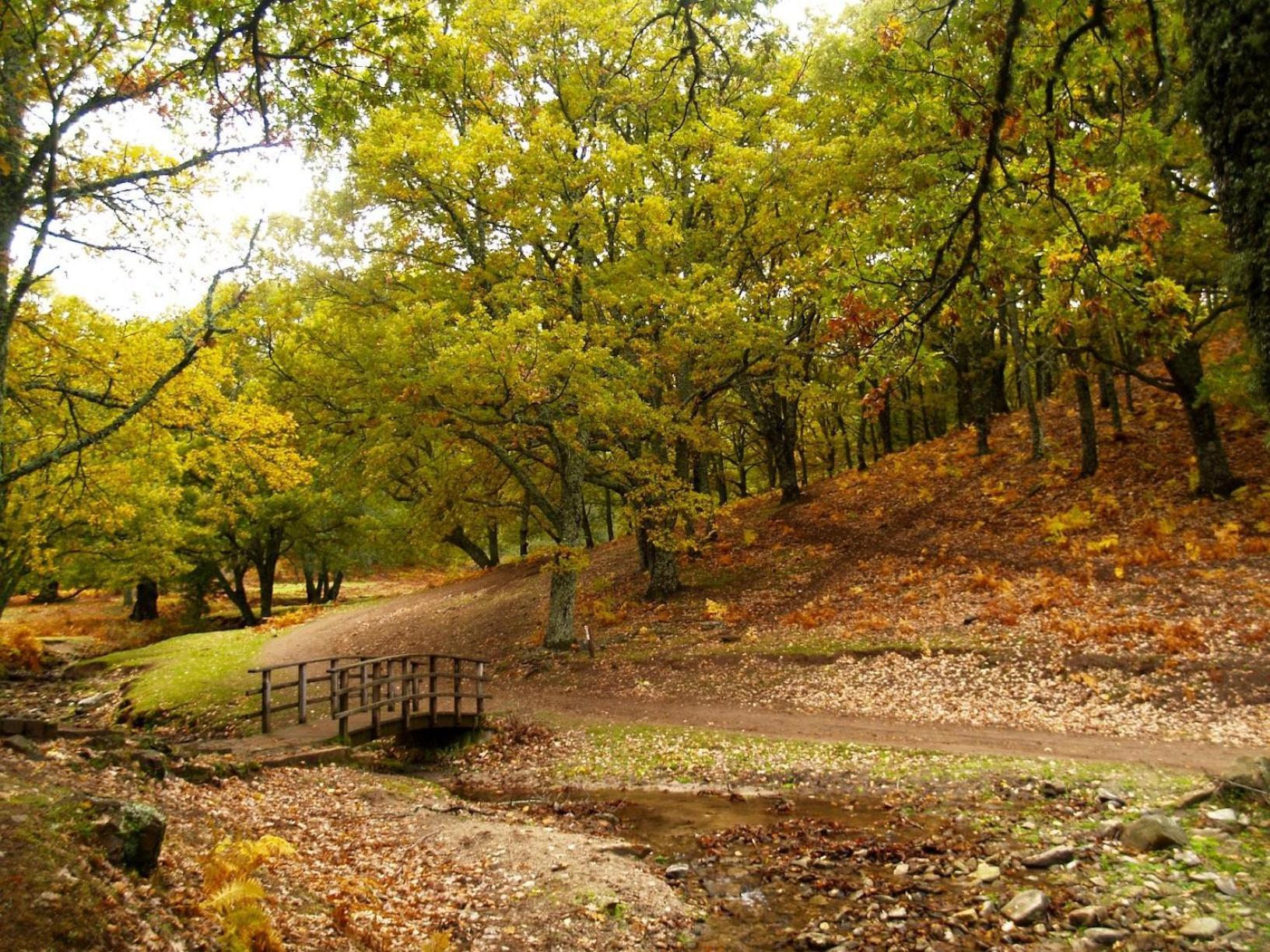 Ruralrut En El Tiemblo Precios Especiales A Partir De 7 Noches, Wifi, Cabina De Hidromasaje, Aire Acondicionado, Zonas De Bano Naturales Cercanas Extérieur photo